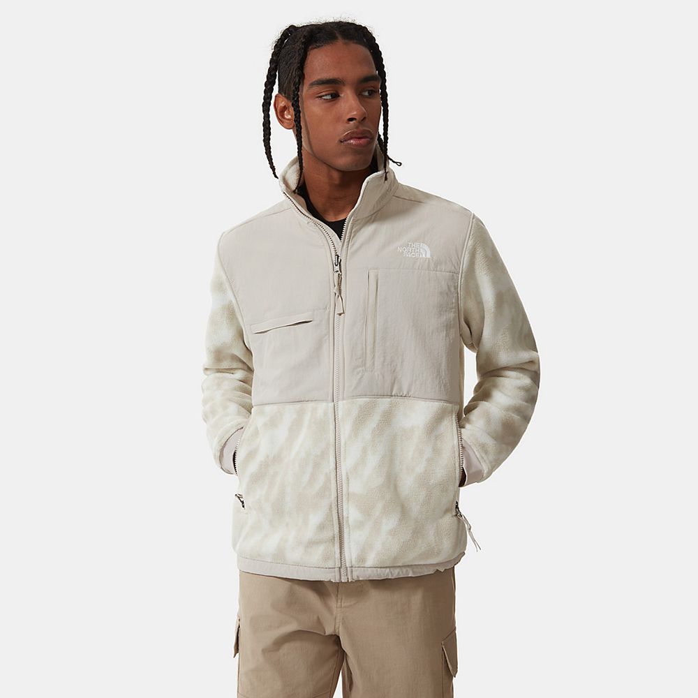 The North Face Fleece Jacket Mens Australia - The North Face Printed Denali 2 Silver Grey (FAS-08561